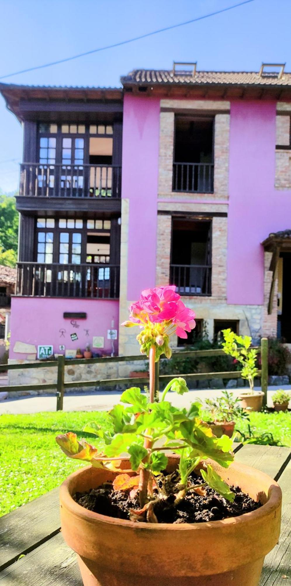 Casa Florenta Las Rozas エクステリア 写真