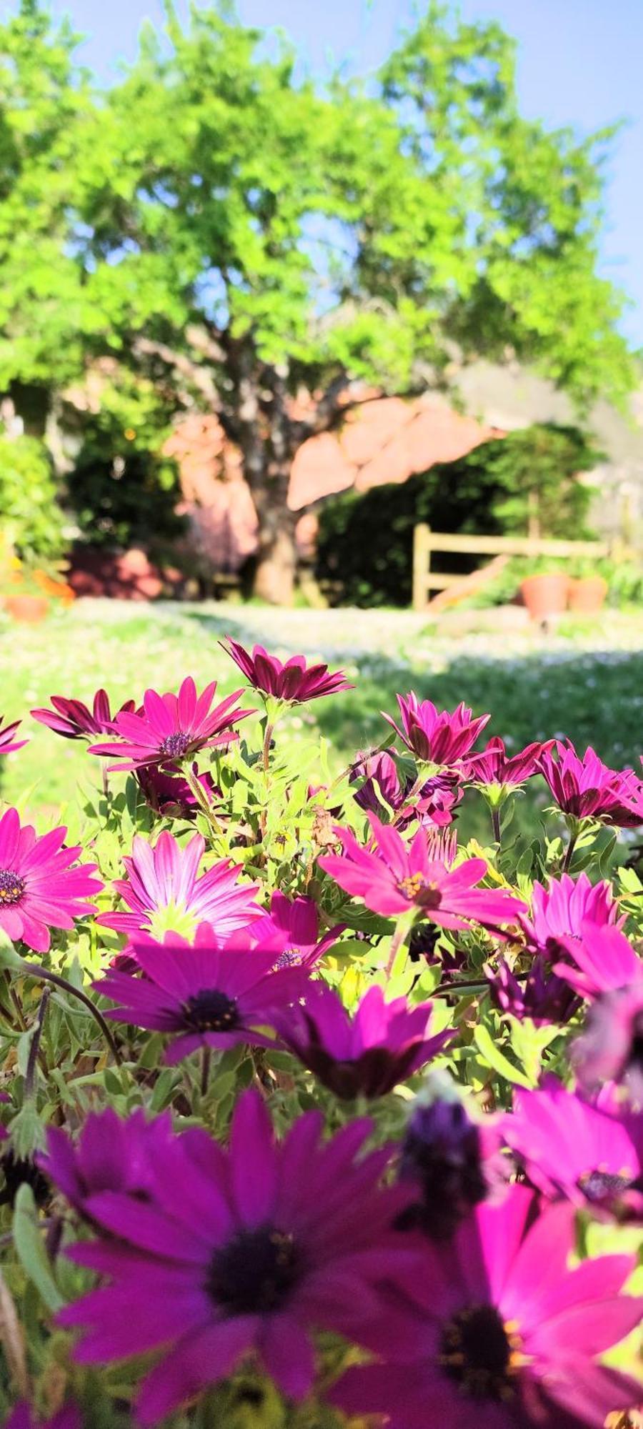 Casa Florenta Las Rozas エクステリア 写真